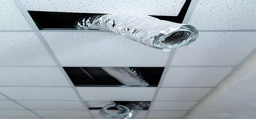 Our Air Duct Pet Hair Removal Services in Pleasanton, CA