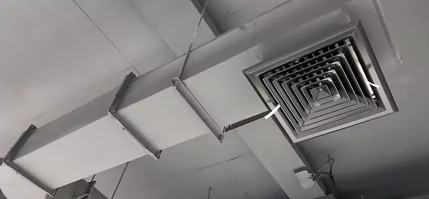 Our Pest Removal From Ducts Services in Pleasanton, CA