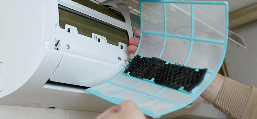 Gentle Ductwork Odor-Control Pet Dander Duct Cleaning in Pleasanton, CA