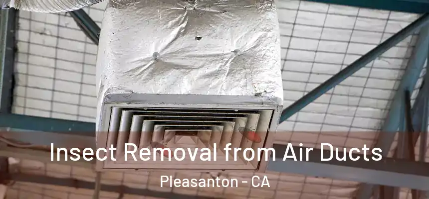 Insect Removal from Air Ducts Pleasanton - CA