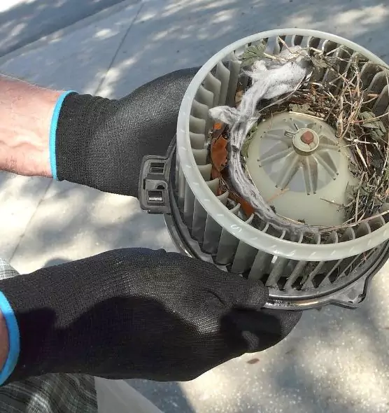 About Air Duct Rat Removal in Pleasanton, CA