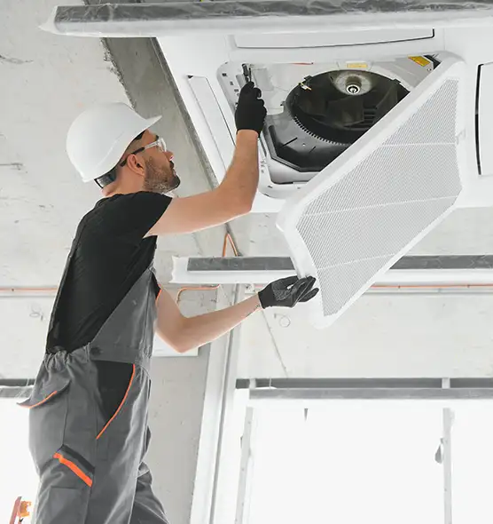 About Air Duct Rodent Removal in Pleasanton, CA