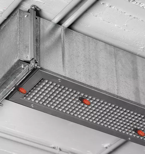 Affordable Insect Removal from Air Ducts in Pleasanton, CA