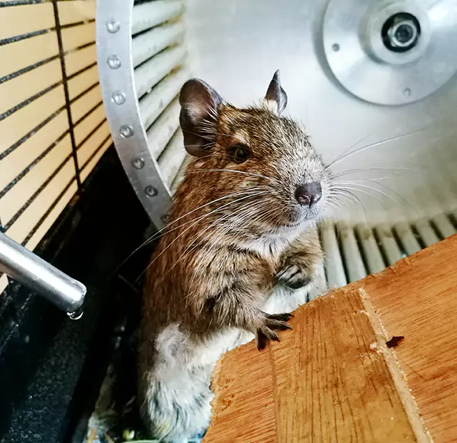 Why Homeowners & Businesses Trust Us Pleasanton, CA?