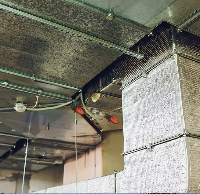 Why Homeowners & Businesses Trust Us Pleasanton, CA?