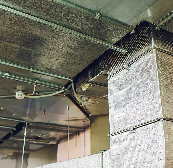 Why Homeowners & Businesses Trust Us in Pleasanton, CA?